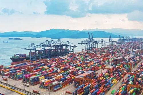 鹽田清理堆積集裝箱需1-3月！