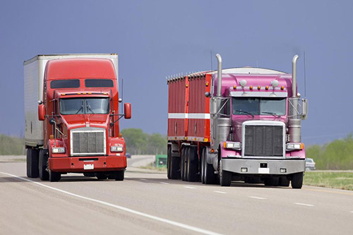 美國(guó)海卡、海派是什么？有什么區(qū)別